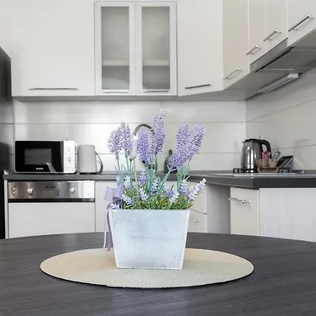 Feratjer 아파트 *